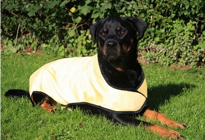 Dog Cooling Coat